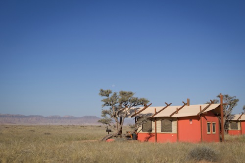 Desert Camp 002